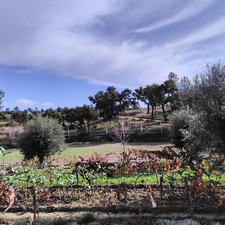 Готель Monte Familia Ferreira Vale de Acor Екстер'єр фото